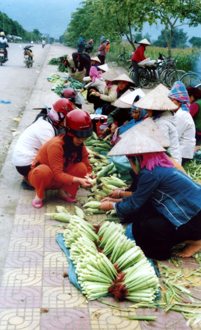 m88 m thể thao