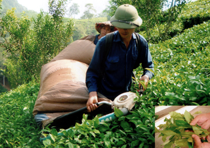 trực tuyến m88