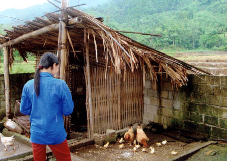 m88 đăng nhập