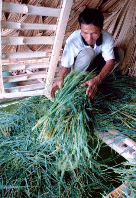 m88 mới nhất hôm này