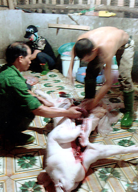 link m88 mới