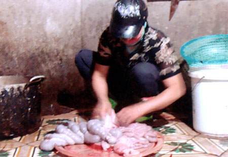 link m88 mới