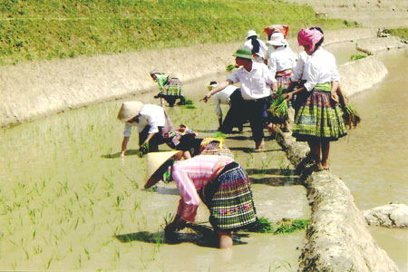 cách vào m88 mới nhất