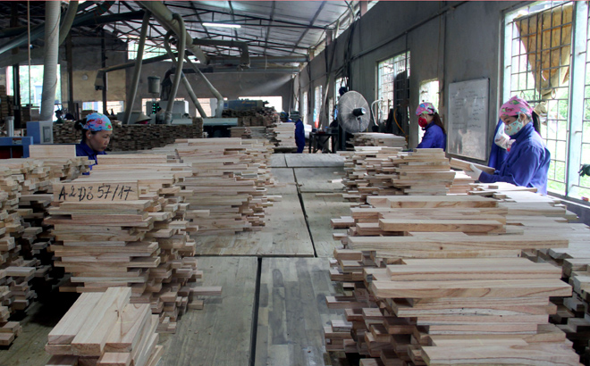 Processing plantation timber is an economic strength of Yen Bai province.
