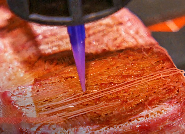 Thịt bò wagyu được in 3D thành công trong phòng thí nghiệm.