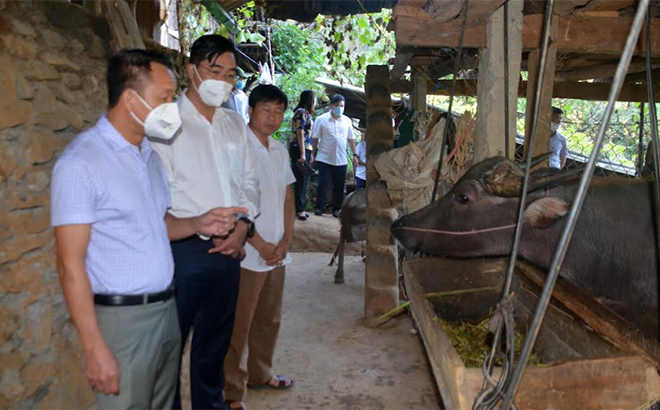 Đoàn giám sát của Thường trực HĐND tỉnh giám sát thực địa thực hiện Nghị quyết 69 tại xã La Pán Tẩn, huyện Mù Cang Chải.
