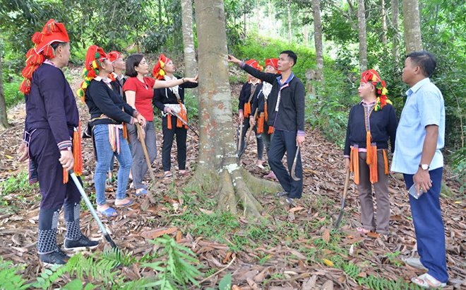 Trưởng thôn Triệu Văn Tài trao đổi với lãnh đạo xã và người dân thôn Khe Sán về phát triển cây quế.