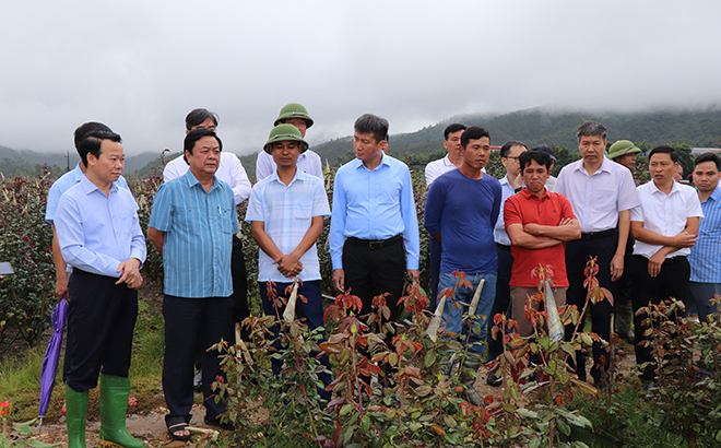 Bộ trưởng Bộ Nông nghiệp và Phát triển nông thôn Lê Minh Hoan (thứ hai bên trái) cùng các đồng chí lãnh đạo tỉnh thăm mô hình trồng hoa hồng của Hợp tác xã Hoa Hồng Nậm Khắt, huyện Mù Cang Chải.