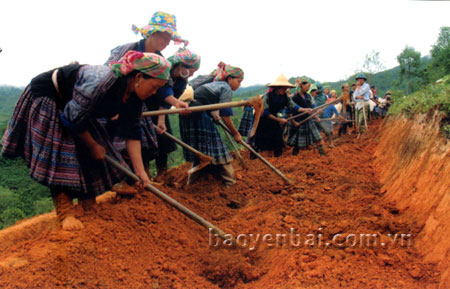 Giúp nông dân nâng cao thu nhập