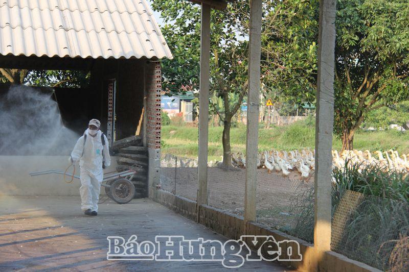 Hưng Yên cấp 17.000 lít hóa chất khử trùng môi trường chăn nuôi.