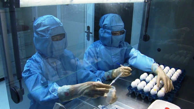 Việt Nam đã sản xuất thành công vắc-xin ngừa cúm A/H5N1 từ nguyên liệu trứng gà.