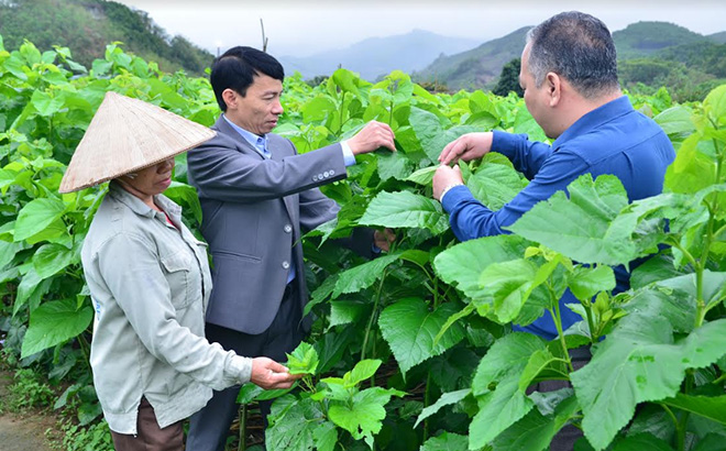 Lãnh đạo xã Đông Cuông, huyện Văn Yên kiểm tra việc thực hiện Chương trình hành động 190 của Tỉnh ủy tại thôn Thác Cái.