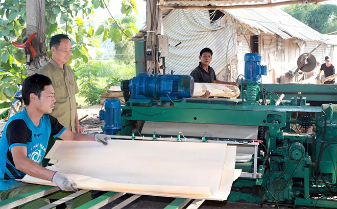 Cựu chiến binh Hà Văn Liêm (người thứ 2 bên trái) kiểm tra chất lượng ván bóc tại xưởng chế biến gỗ.