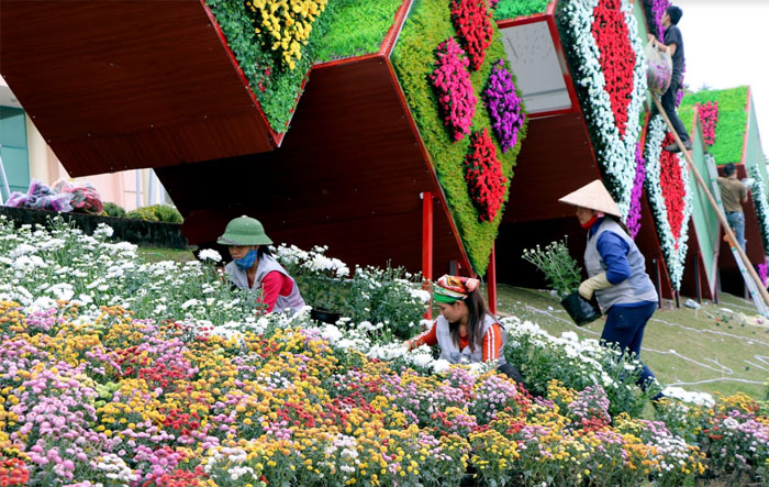 Đường hoa xuân Tết Nguyên đán 2019 ở thành phố Yên Bái thu hút nhiều du khách gần xa. (Ảnh minh họa)