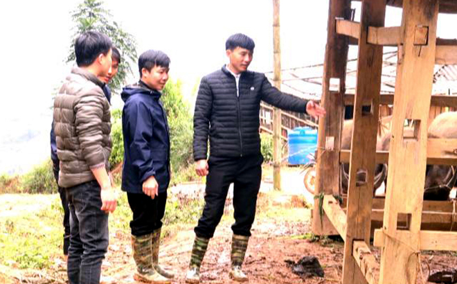 Lãnh đạo xã Pá Hu kiểm tra công tác phòng chống đói rét cho gia súc tại thôn Tà Tàu.