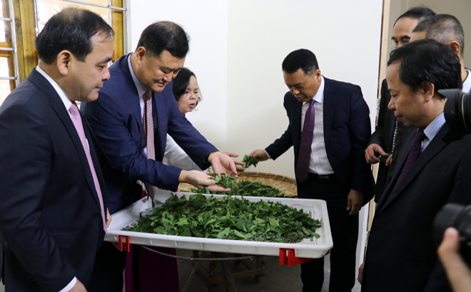The Agricultural Counselor at the RoK Embassy in Vietnam, and representatives of KOPIA Vietnam, the Vietnam Agriculture Science Institute,  the provincial Department of Agriculture and Rural Development, and Tran Yen district, cut the ribbon to inaugurate the silkworm rearing house in Viet Thanh commune.