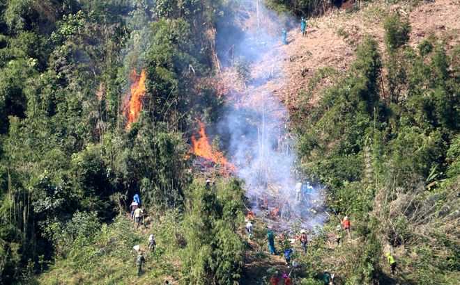 Diễn tập các lực lượng hiệp đồng chữa cháy rừng.