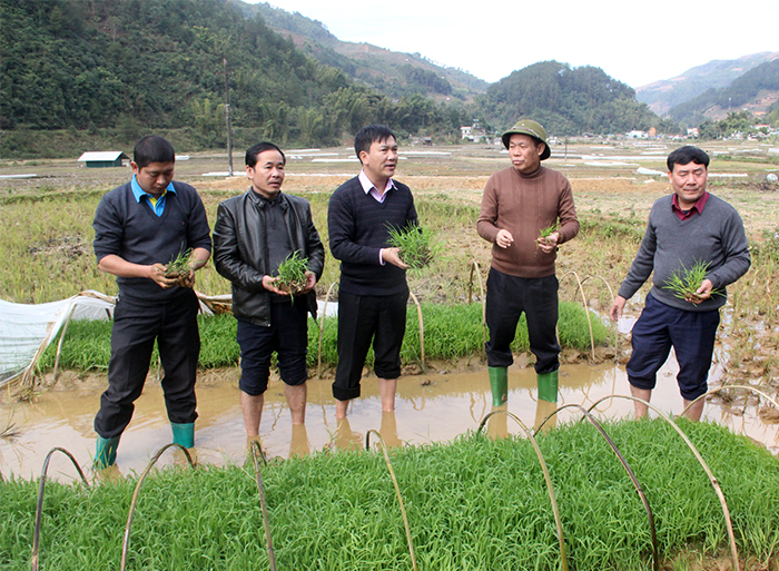 PhÃ³ Chá»§ tá»ch UBND tá»nh Nguyá»n VÄn KhÃ¡nh kiá»m tra cÃ´ng tÃ¡c phÃ²ng chá»ng rÃ©t cho máº¡ táº¡i xÃ£ Cháº¿ Cu Nha.