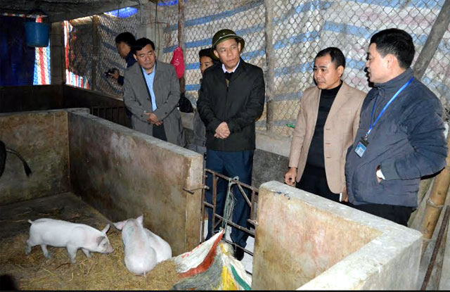 Äá»ng chà Nguyá»
n VÄn Khánh â Phó Chá»§ tá»ch UBND tá»nh kiá»m tra tình hình dá»ch lá» má»m long móng tại xã Äông Cuông