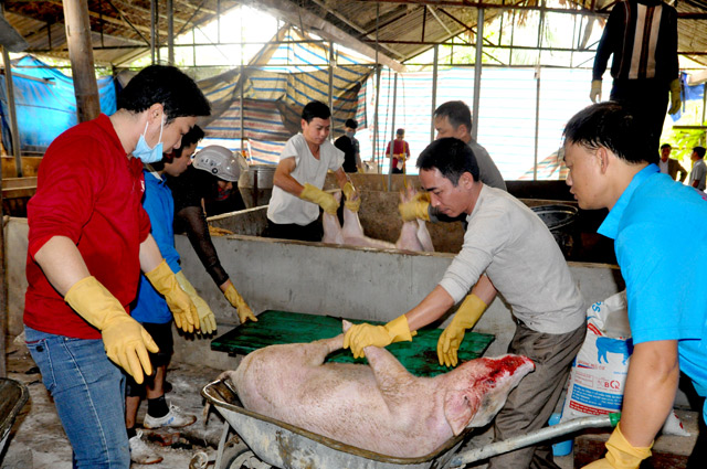 CÆ¡ quan chuyÃªn mÃ´n tiáº¿n hÃ nh xá»­ lÃ½ á» dá»ch táº¡i gia ÄÃ¬nh anh VÅ© Nam Giang á» thá» tráº¥n YÃªn Tháº¿