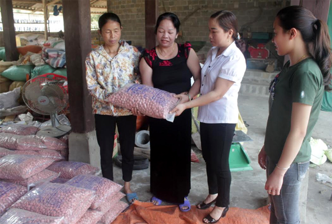 Hội viên thăm mô hình dịch vụ nông nghiệp của hội viên Hoàng Thị Huân, thôn Bản Vãn, xã Sơn A.