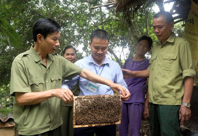 Các thành viên Hợp tác xã Nông nghiệp Minh Bảo trao đổi kỹ thuật nuôi ong mật.