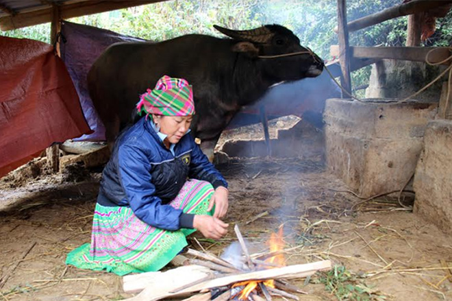 Người dân xã Bản Công nhóm lửa sưởi ấm cho gia súc ngày giá rét.