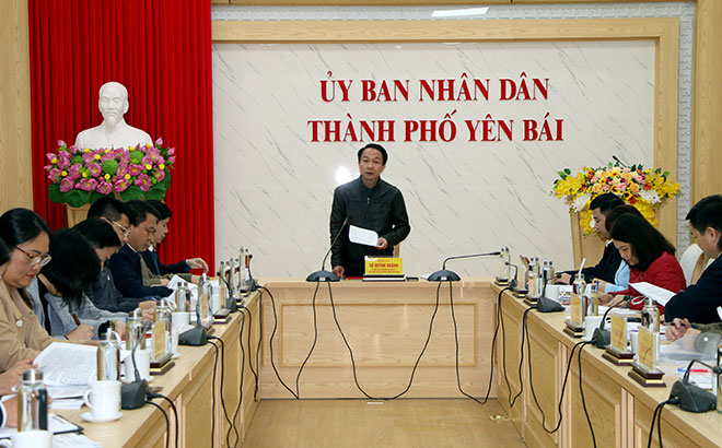Phó Chủ tịch HĐND tỉnh Vũ Quỳnh Khánh phát biểu tại buổi làm việc.