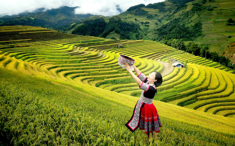 Mu Cang Chai district welcomes more than 360,000 visitors in 2023.
