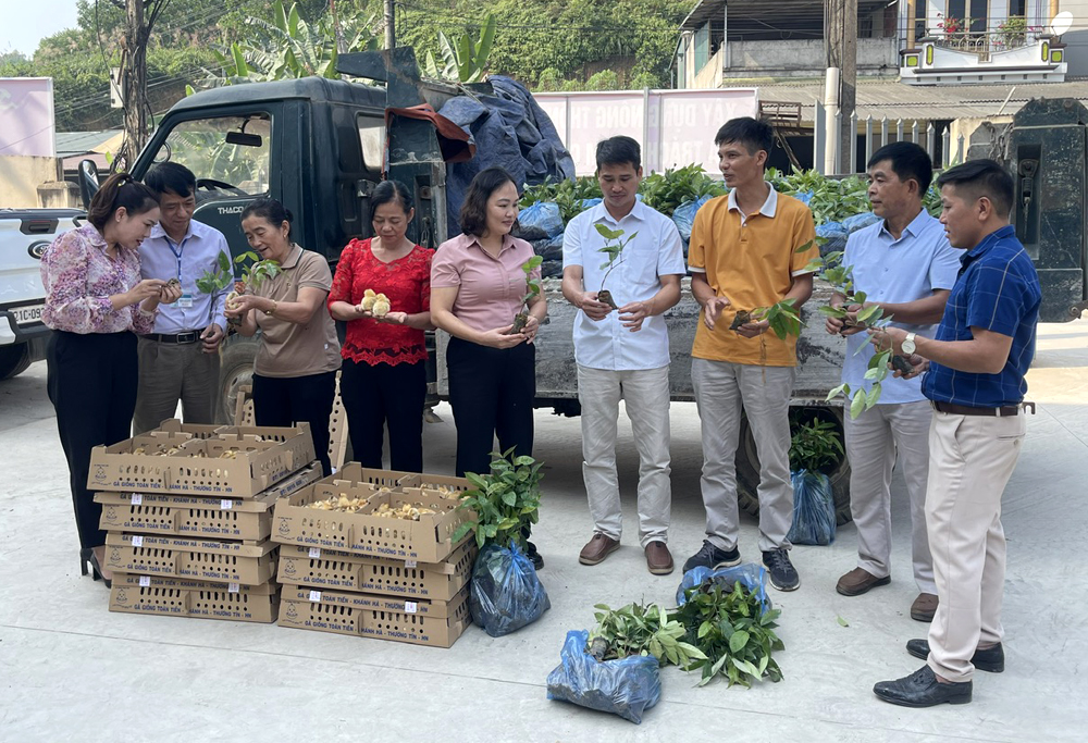 Hội nông dân tỉnh hỗ trợ nông dân xã Thịnh Hưng, huyện Yên Bình cây, con giống để phát triển sản xuất.
