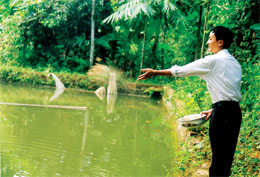 Anh Phạm Anh Chiến đang chăm sóc cá giống.