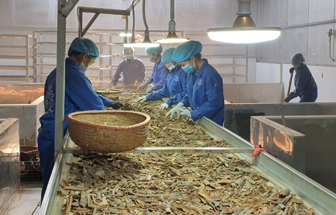 Người dân Trấn Yên có thêm thu nhập nhờ sự xuất hiện của các mô hình sản xuất kinh doanh