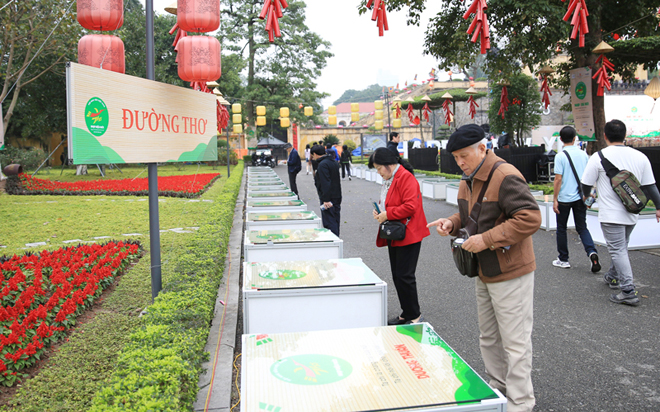 Độc giả đọc thơ tại “đường thơ” ở Hoàng thành Thăng Long