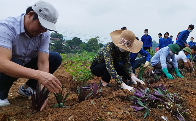 Nhân dân thôn Trung Tâm, xã Đông Cuông tham gia trồng hoa, cây cảnh ven trục đường chính của thôn.
