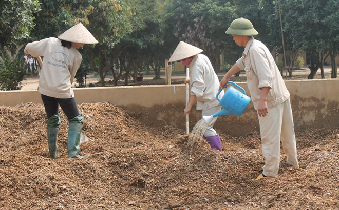 Công nhân Nhà máy Sắn Văn Yên ủ phân hữu cơ vi sinh.