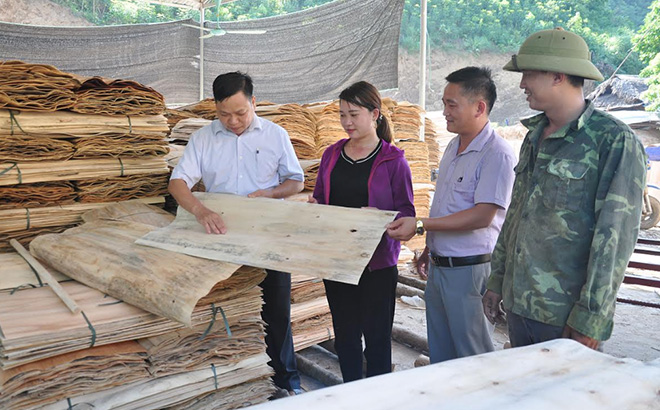 Xưởng sản xuất gỗ bóc của gia đình anh Lý Văn Yên tại thôn Khe Riềng, xã Quang Minh, huyện Văn Yên tạo công ăn việc làm ổn định cho nhiều lao động địa phương.
