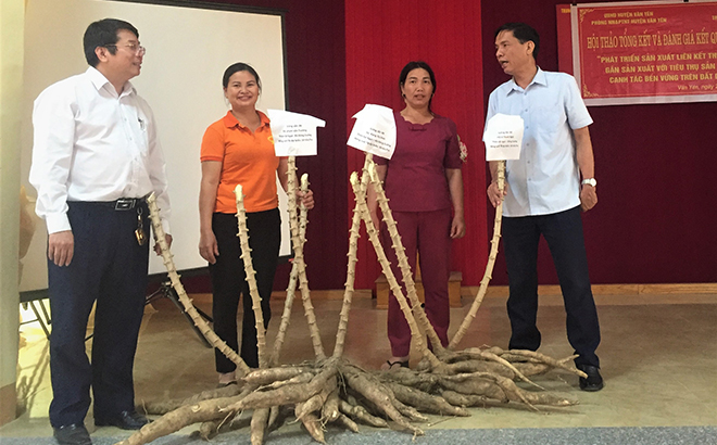 Representatives of the Van Yen district People’s Committee assess outcomes of the project on developing production under value chains in tandem with promoting sales and sustainable cultivation on sloping land.