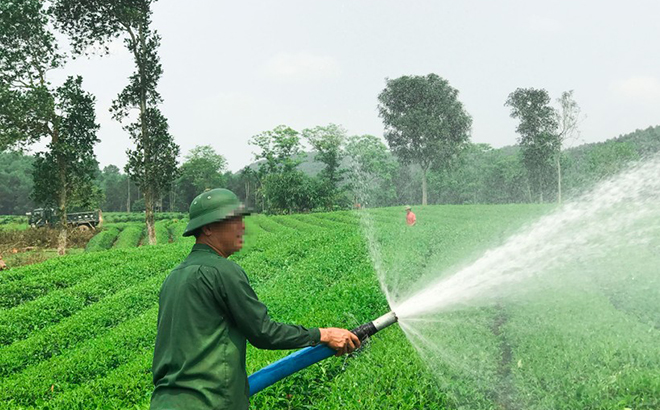 Ông N.C.D. hiện đang làm kinh tế trên diện tích đất mình bỏ tiền ra mua nhưng lại đứng tên người khác.