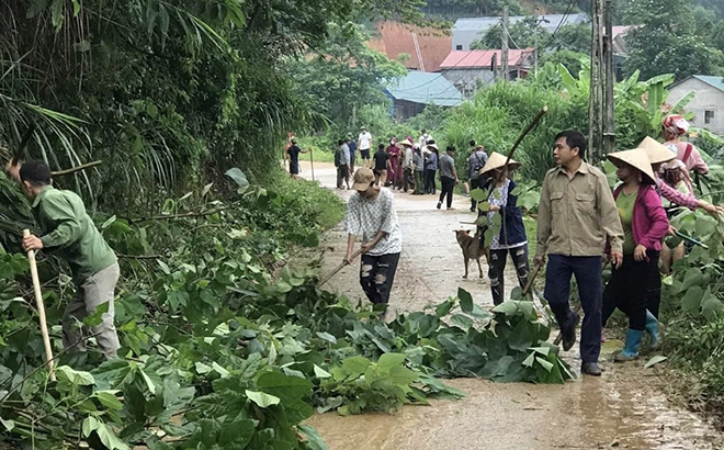 Hội viên Hội Nông dân xã Mậu Đông tham gia vệ sinh môi trường đường liên thôn.