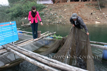 Nuôi cá lồng trên hồ Thác Bà giúp nhiều hộ dân ven hồ thoát nghèo.
