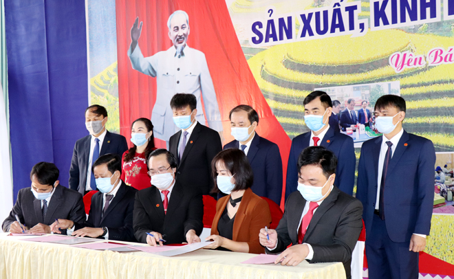 Leaders of Yen Bai witness the signing of a programme on using services and products of members of the Bloc of provincial units and enterprises in 2021.
