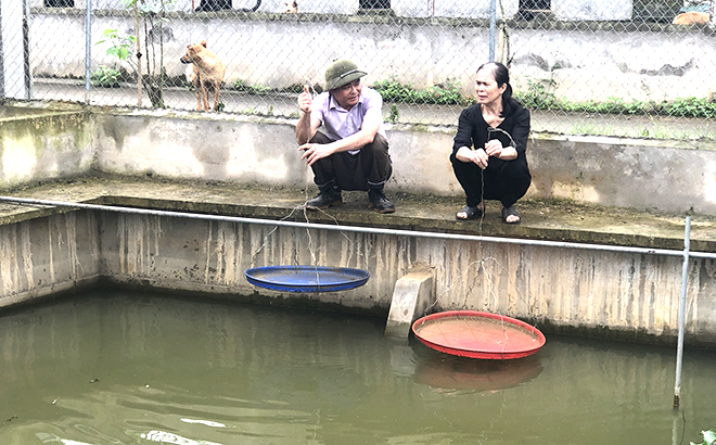 Đảng viên Trần Đăng Dung, Chi bộ thôn Kè, xã Đại Lịch, huyện Văn Chấn chia sẻ kinh nghiệm nuôi ba ba với người dân trong xã.