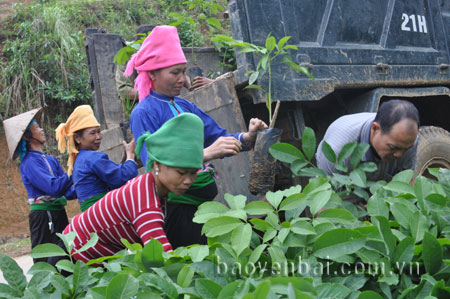 http://www.baoyenbai.com.vn/Includes/NewsImg/5_2014/111840_19-5chieu-day-nhanh-tien-do.jpg