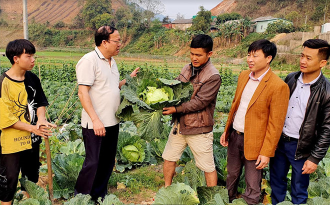 Ông Vũ Tiến Đức - Chủ tịch UBND huyện cùng lãnh đạo Phòng Nông nghiệp và Phát triển nông thôn huyện Mù Cang Chải kiểm tra, đánh giá cao mô hình trồng rau sạch của anh Phạm Quang Thọ.