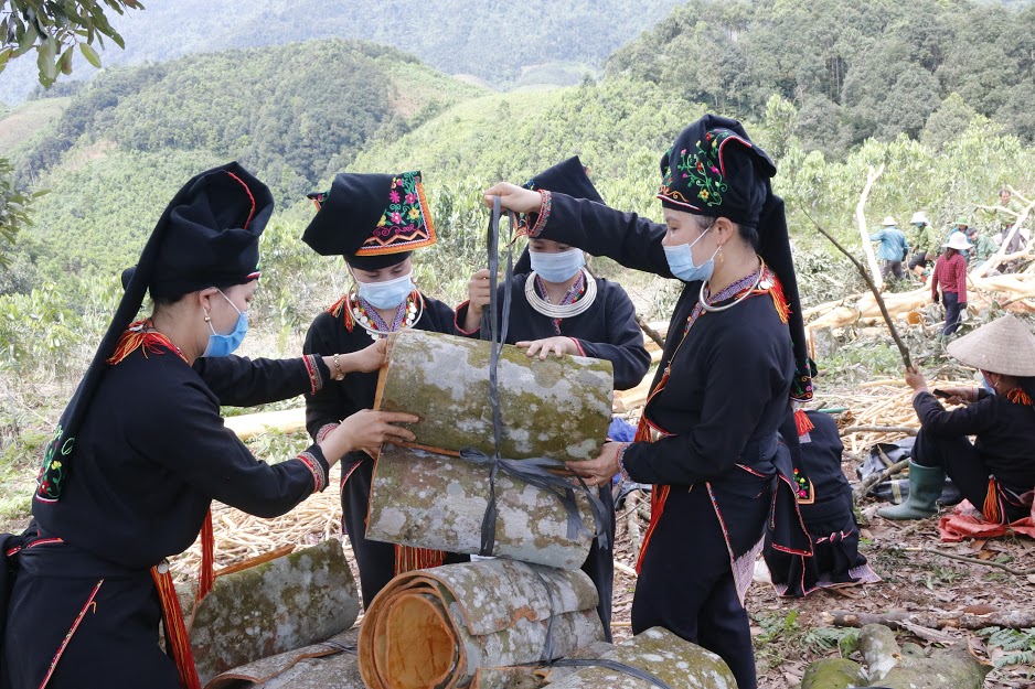 A young Dao ethnic woman in Vien Son collects cinnamon skin that has just been harvested.
