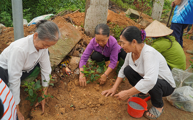 Bà con giáo dân Giáo xứ Yên Bình tham gia trồng hoa ven đường thôn Đức Tiến, xã Yên Bình.