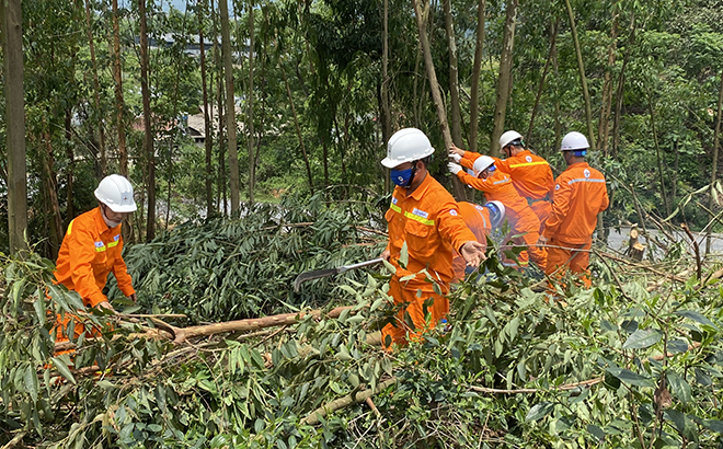 Công nhân Điện lực thị xã Nghĩa Lộ phát chặt cây bảo vệ hành lang lưới điện cao áp.