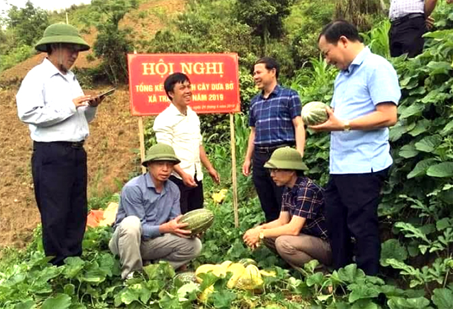 Lãnh đạo huyện Trạm Tấu thăm mô hình trồng dưa tại xã Trạm Tấu.