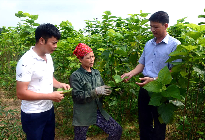 Lãnh đạo Đảng ủy xã Xuân Ái thăm mô hình trồng dâu nuôi tằm của chị Nguyễn Thị Phương, thôn Sông Hồng.