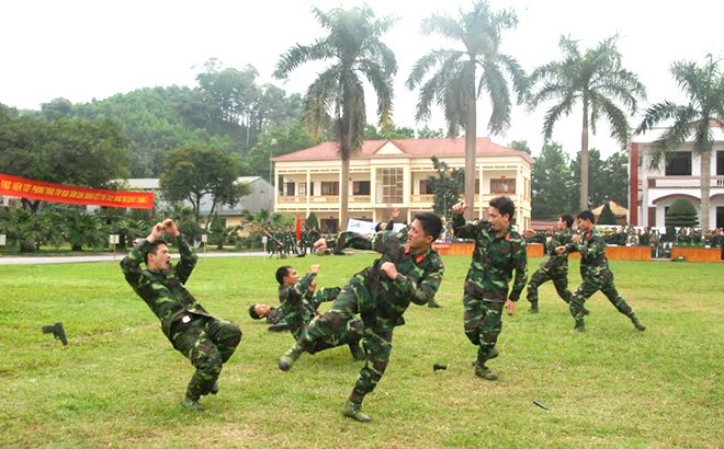 Cán bộ, chiến sĩ lực lượng vũ trang tỉnh biểu diễn võ thuật tại Lễ ra quân huấn luyện hàng năm.